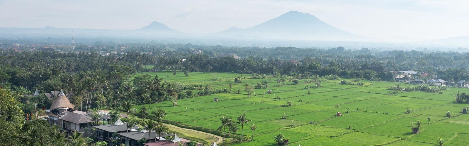 Tangkapan layar situs resmi GDAS Bali Health and Wellness Resort